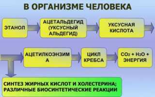 Алкогольный панкреатит: симптомы, лечение, прогноз выживаемости