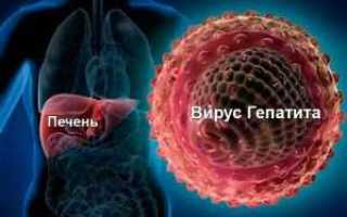 Какие способы передачи гепатита С существуют, и насколько опасен зараженный человек для окружающих?