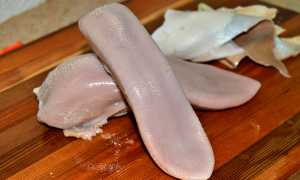 Как приготовить тушеное мясо для больного гастритом