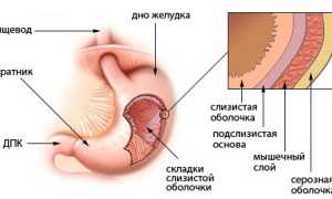 Можно ли при панкреатите свеклу и в каком виде ее есть: Чем хороша свекла при панкреатите
