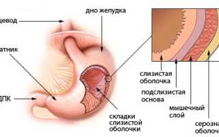 Можно ли при панкреатите свеклу и в каком виде ее есть: Чем хороша свекла при панкреатите