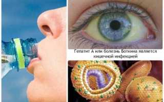 Особенности развития вирусного гепатита А в инкубационный период и на какие симптомы важно обратить внимание