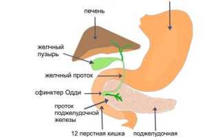 Причины и симптомы закупорки желчных протоков