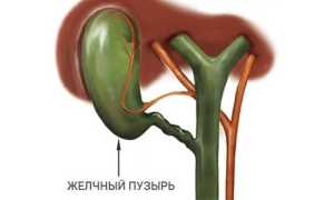 Желчный пузырь: размеры в норме по УЗИ у взрослых и детей