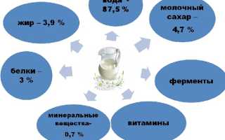 Можно ли пить молоко при гастрите?