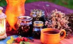 Эффективные методы народной медицины при лечении гепатита С