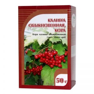 00286 1 800x800 300x300 - Калина - польза для здоровья