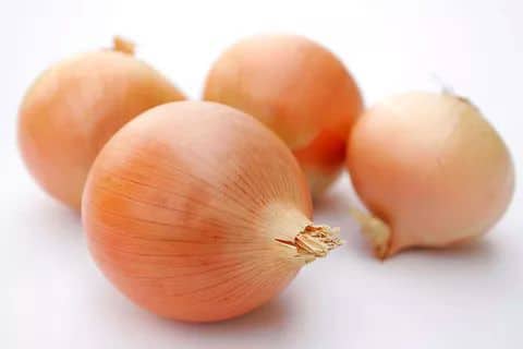 Лук