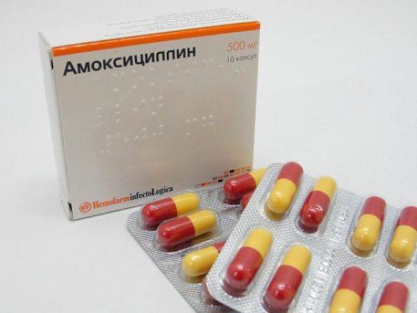 Амоксициллин оказывает бактериостатическое действие на различные виды бактерий, среди которых присутствует Хеликобактер пилори