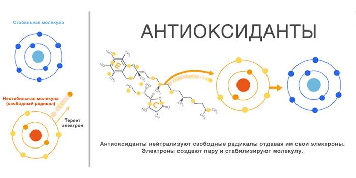 Как работают антиоксиданты