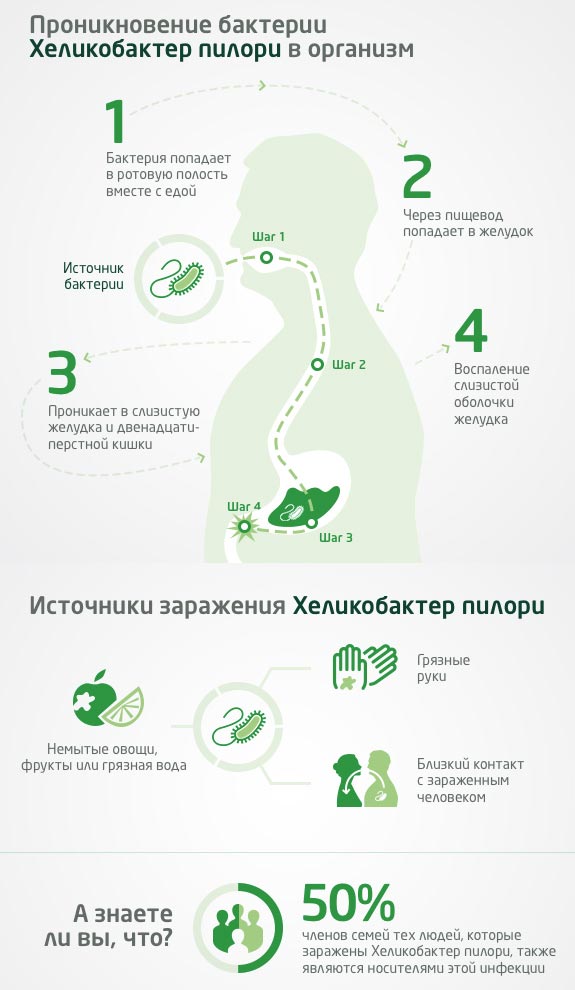 источники хеликобактер пилори