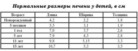 Таблица размеров печени у детей