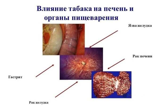 Влияние табака